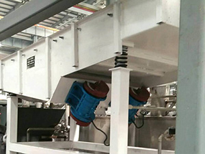 不銹鋼直線振動篩面粉篩分現場，產量5t/h